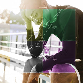 Summa Anabolic Mapping: Visualizing Your Recovery