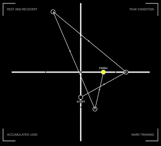 Hormonal Synergy: Why testosterone and cortisol are partners, not enemies