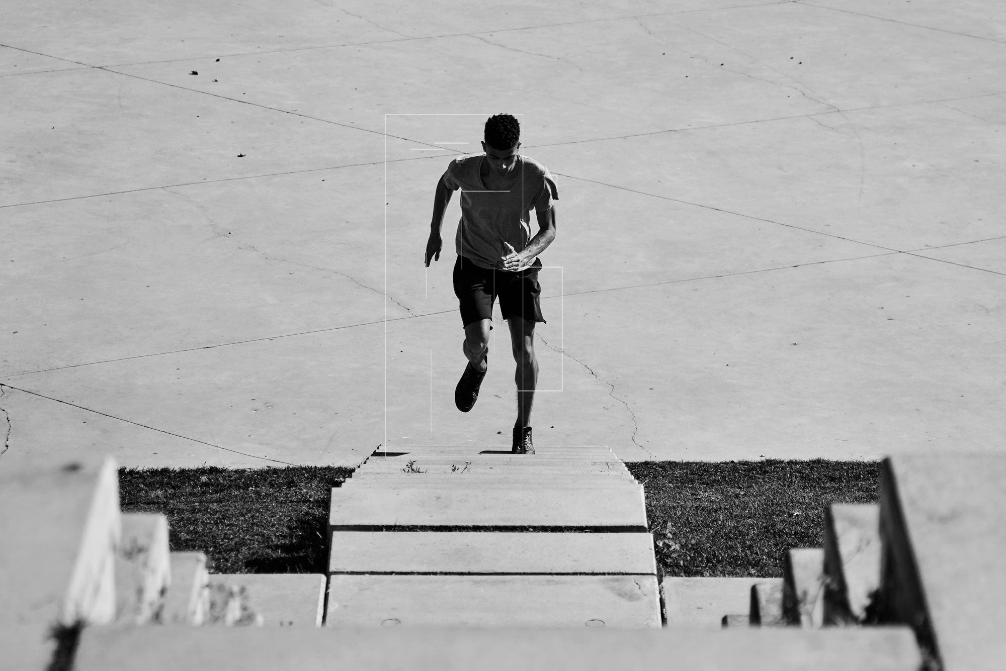 Understanding the Impact of Free Testosterone and Cortisol on Athletic Performance